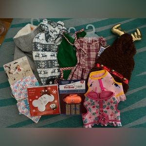 Dog clothing and accessory bundle